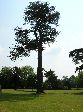 2006-0608-1207-42.jpg